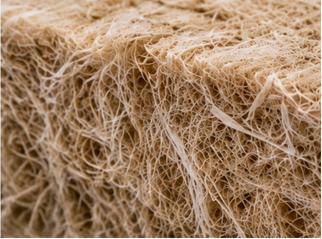 Gros plan sur des fibres végétales beiges.